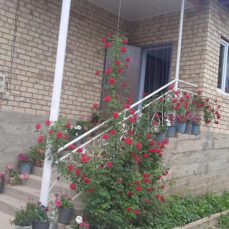 Guest House Kyzyl Alma Arkit Zewnętrze zdjęcie