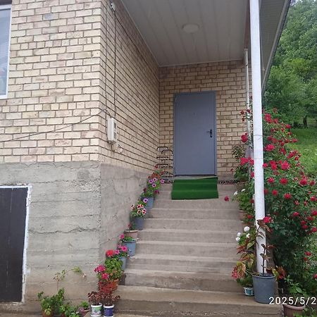 Guest House Kyzyl Alma Arkit Zewnętrze zdjęcie